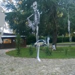 WP_20151031_003