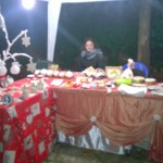 WP_20151206_008