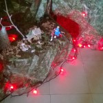 WP_20170102_003